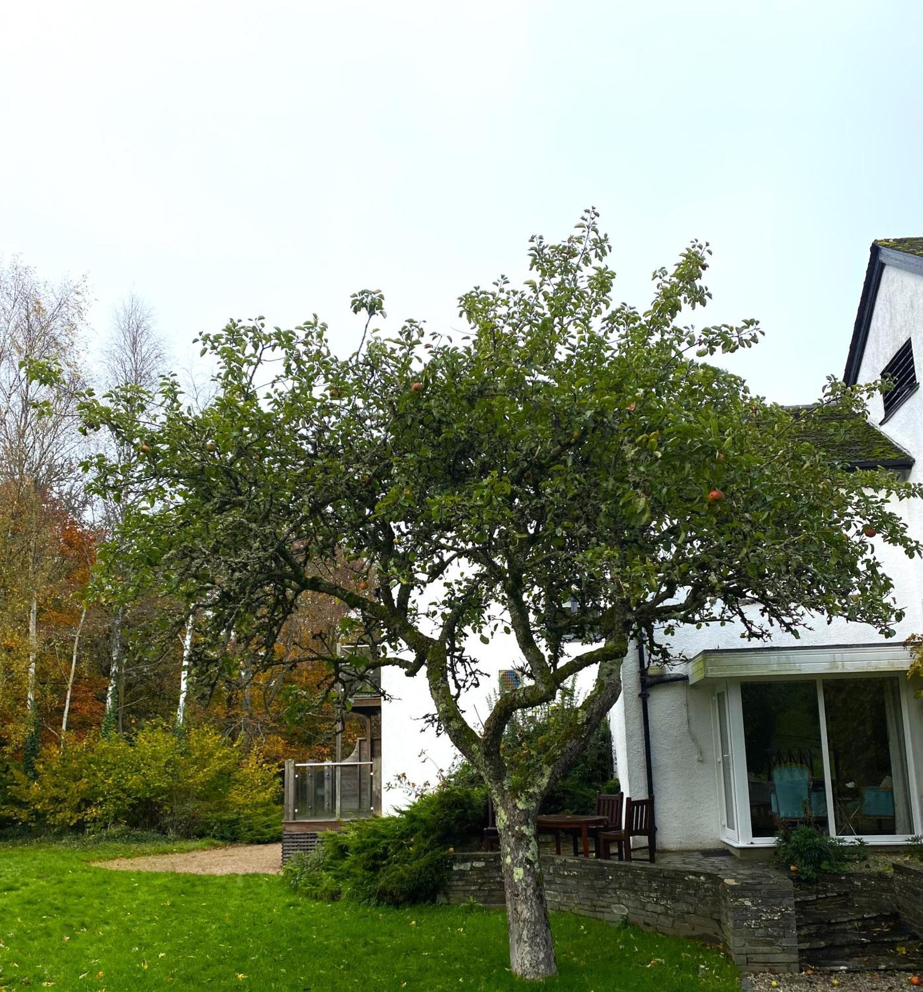 Mill End Hotel Chagford Exterior foto